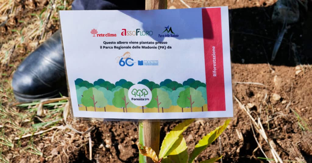 Rete Clima - Primo albero piantato da Manini Prefabbricati nel parco delle Madonie